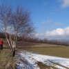 dsc07372-min