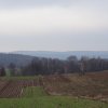 dsc07503-min